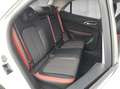 GWM ORA 03 Funky Cat 400 GT 360°*ACC*AUT*Bel.Sitz*LM Weiß - thumbnail 18