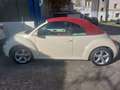 Volkswagen New Beetle New Beetle Cabrio 1.9 tdi limited Red Edition - thumbnail 4