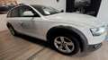 Audi A4 allroad A4 allroad 2.0 TDI 190 CV cl.d. S.tr. Advanced Bianco - thumbnail 2