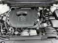 Mazda CX-5 2.0 e-SkyActiv-G M Hybrid 165 Exclusive-Line / Bos Blanc - thumbnail 40