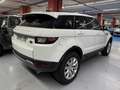 Land Rover Range Rover Evoque 2.0TD4 SE 4WD Aut. 150 Blanc - thumbnail 3