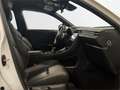 Lexus LBX 1.5 136cv HEV Relax - thumbnail 6