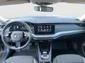 Skoda Octavia Ambition TDI DSG Grau - thumbnail 12