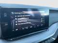 Skoda Octavia Ambition TDI DSG Grau - thumbnail 20