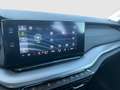Skoda Octavia Ambition TDI DSG Grau - thumbnail 23