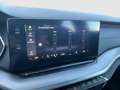 Skoda Octavia Ambition TDI DSG Grau - thumbnail 22