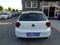 Volkswagen Polo Polo VI 5p 1.0 evo Comfortline 80cv Bianco - thumbnail 6