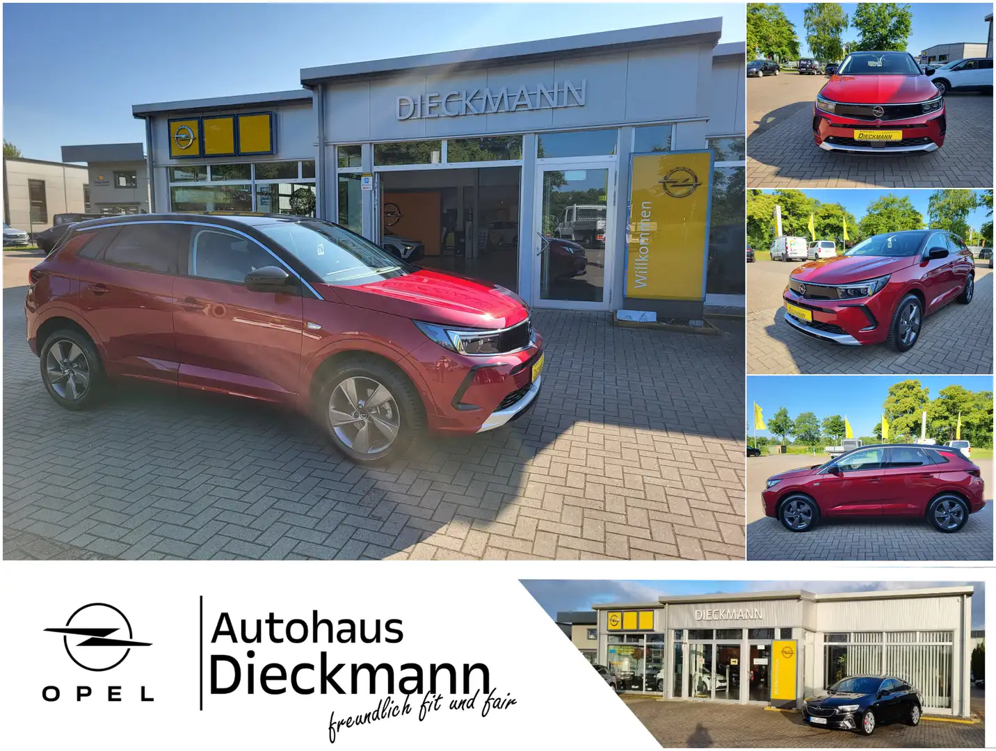 Opel Grandland Elegance RFK SHZ Ultimate-Paket Navi LM Rot - 1