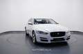 Jaguar XE 2.0 D Turbo 180cv Aut. *SOLO X COMMERCIANTI* Bianco - thumbnail 8