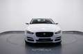 Jaguar XE 2.0 D Turbo 180cv Aut. *SOLO X COMMERCIANTI* Bianco - thumbnail 2