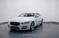 Jaguar XE 2.0 D Turbo 180cv Aut. *SOLO X COMMERCIANTI* Bianco - thumbnail 1