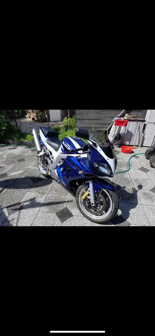 Suzuki SV 1000 Azul - 1