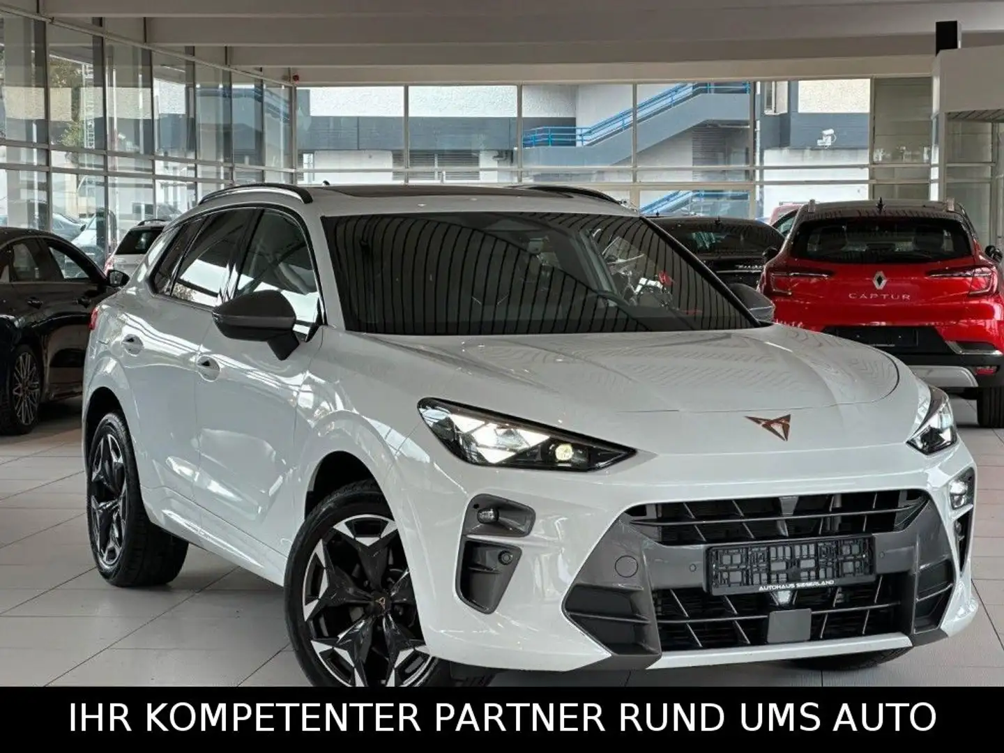 CUPRA Terramar 2.0 TSI/4Drive VZ/ACC/DCC/SPURH./PANO/ Weiß - 1