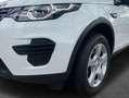 Land Rover Discovery Sport eD4 Pure Biały - thumbnail 5