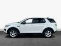 Land Rover Discovery Sport eD4 Pure Білий - thumbnail 4