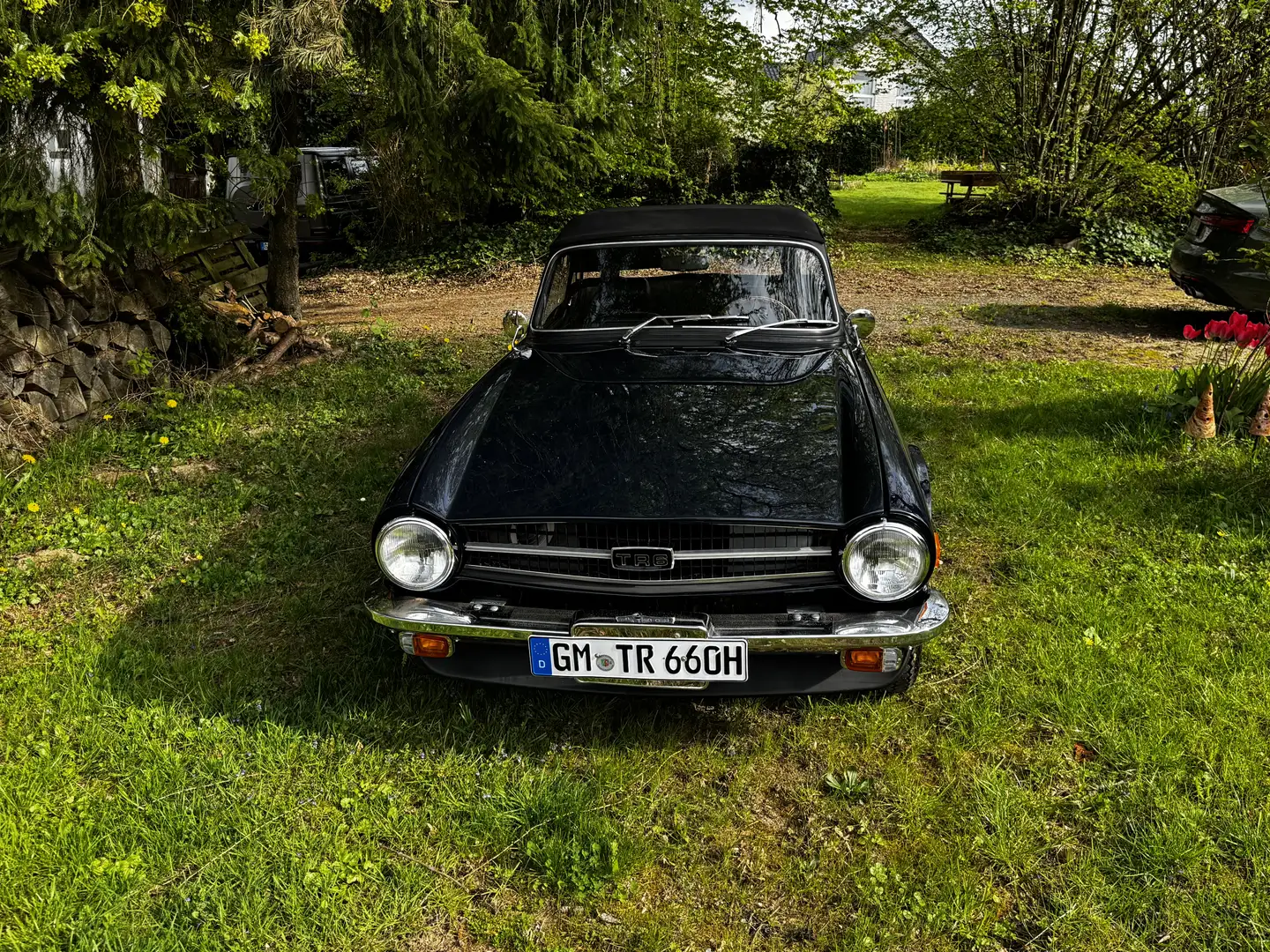 Triumph TR6 Blau - 2
