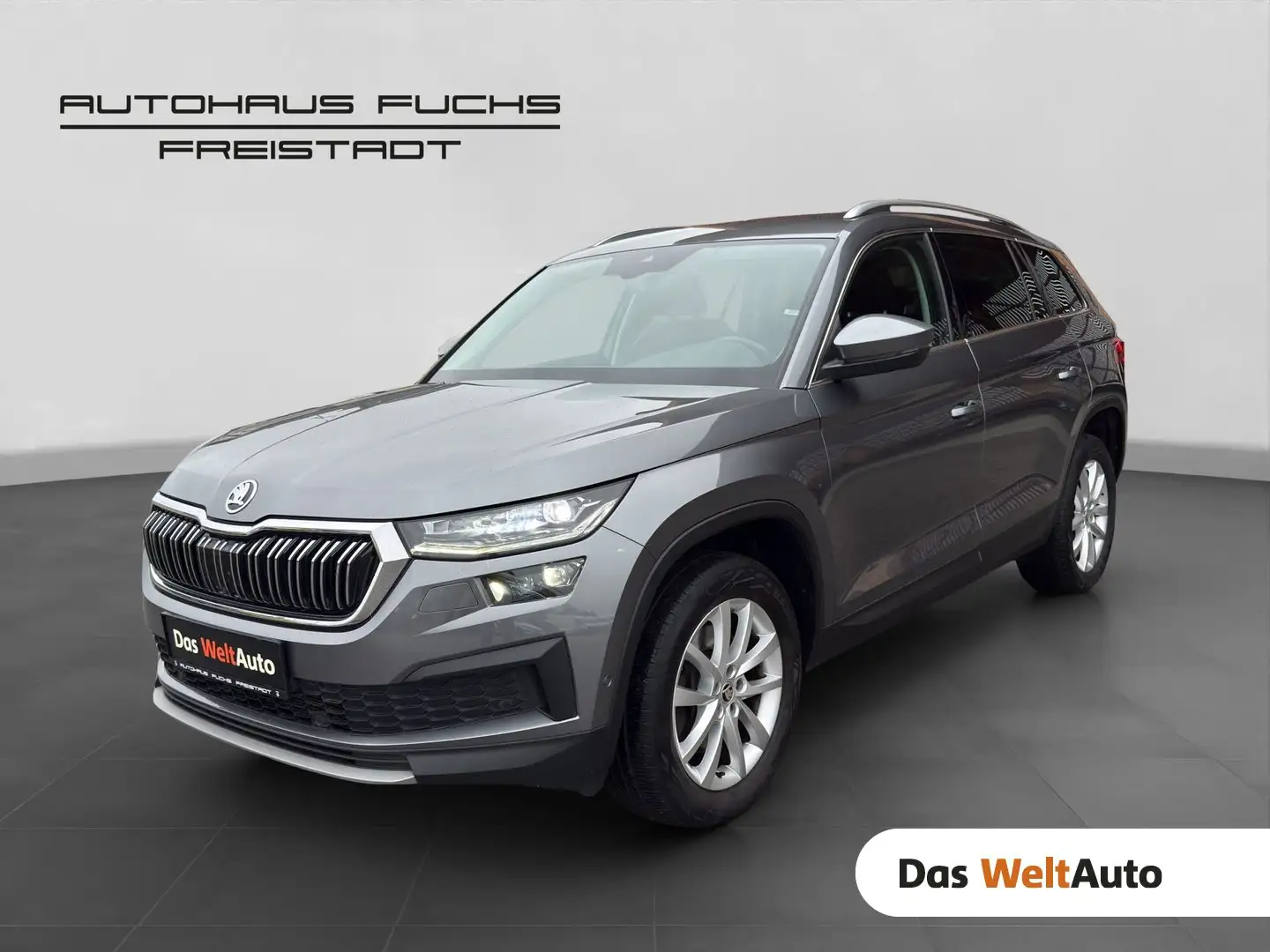 Skoda Kodiaq 4x4 Style SC TDI DSG Grau - 1
