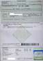 Hyundai SANTA FE Santa Fe 2.2 CRDi 4WD Executive Blauw - thumbnail 17