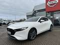 Mazda 3 SKYACTIV-G 2.0 M-HYBRID 150 Selection / PREMIUM PA Weiß - thumbnail 3