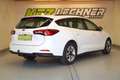 Ford Focus Turnier 1.5 EcoBl. Aut. "AHK*LED*ACC*SITZH*R-KAM" Weiß - thumbnail 4