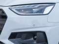 Audi A4 30 TDI ADVANCED LED LM18 AHK SPORTSITZE Blanco - thumbnail 13