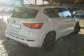CUPRA Ateca 2.0 4Drive LED Navi Totwinkel 360° DAB PDC Weiß - thumbnail 6