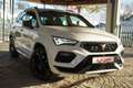 CUPRA Ateca 2.0 4Drive LED Navi Totwinkel 360° DAB PDC Weiß - thumbnail 8