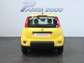 Fiat Panda 1.0 FireFly S&S Hybrid  new version 2024 Jaune - thumbnail 7