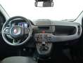 Fiat Panda 1.0 FireFly S&S Hybrid  new version 2024 Jaune - thumbnail 13