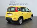 Fiat Panda 1.0 FireFly S&S Hybrid  new version 2024 Jaune - thumbnail 3