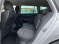Skoda Octavia Combi 2,0 TDI Ambition | AHK/RFK Weiß - thumbnail 14
