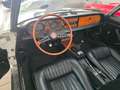 Fiat 124 Spider 1.6 SPORT 110CV TARGHE+LIBRETTO ORIGINALI Blanco - thumbnail 10