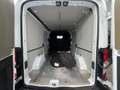 Ford Transit TRANSIT350 L2H2/KAMERA/NAVI/AHK/DOPPELSC Weiß - thumbnail 9