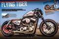 Harley-Davidson Sportster 1200 XL 1200 Nightster Gris - thumbnail 5