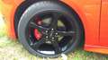 Ford Focus Focus Turnier 1,5 Turnier ST-Line Red/Black 134kW Rot - thumbnail 8