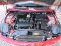 MINI Cooper Mini 1.6 Cooper 90cv ( ISCRITTA A.S.I. ) Rouge - thumbnail 27