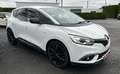 Renault Scenic Scenic 1.7 Blue dCi Intens (EU6.2) Wit - thumbnail 7