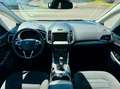Ford Galaxy 2.0 EcoBlue Titanium 7-Sitze Standheizung Zilver - thumbnail 10