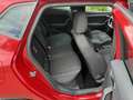 SEAT Ibiza 1.5 TSI FR Sono"BEATS by Dre" Carplay PDC Keyless Rouge - thumbnail 19