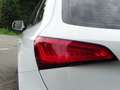 Audi Q5 2.0 TFSI quattro Adrenalin Sport - S LINE - AUTOMA Wit - thumbnail 16