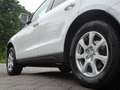 Audi Q5 2.0 TFSI quattro Adrenalin Sport - S LINE - AUTOMA Wit - thumbnail 12