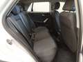 Audi Q2 30 TDI Cruise Navi Retrocamera Fari LED Cerchi 18” Blanco - thumbnail 7