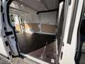 Ford Transit Custom Kasten 2,0 L2H1 300 Trend Weiß - thumbnail 14