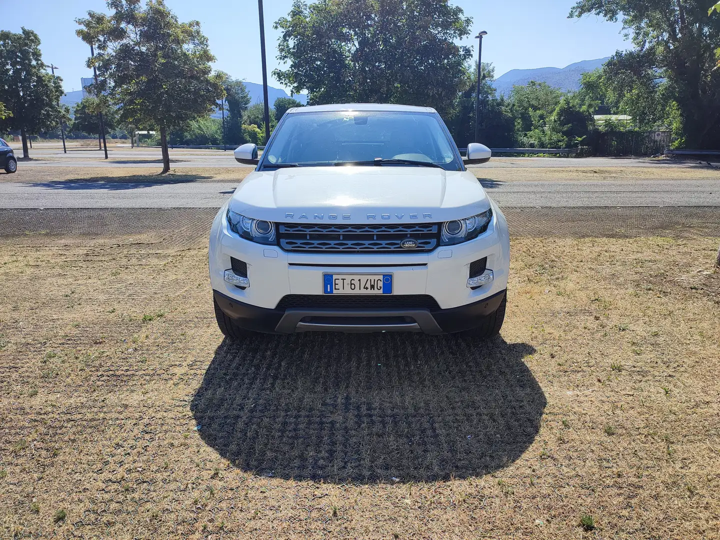 Land Rover Range Rover Evoque Evoque 2.2 Pure 150cv aut. ZF 9m Imm. Autocarro Bianco - 1