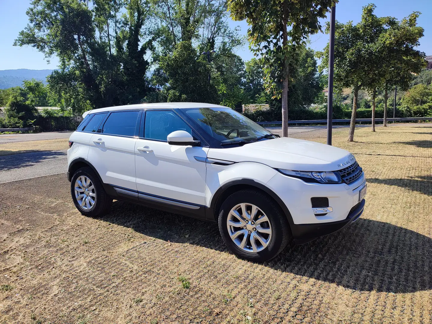 Land Rover Range Rover Evoque Evoque 2.2 Pure 150cv aut. ZF 9m Imm. Autocarro Bianco - 2