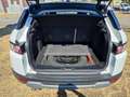 Land Rover Range Rover Evoque Evoque 2.2 Pure 150cv aut. ZF 9m Imm. Autocarro Bianco - thumbnail 8