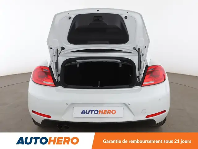 Volkswagen Beetle view 16