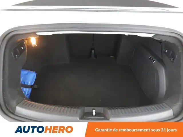 Volkswagen Beetle view 17