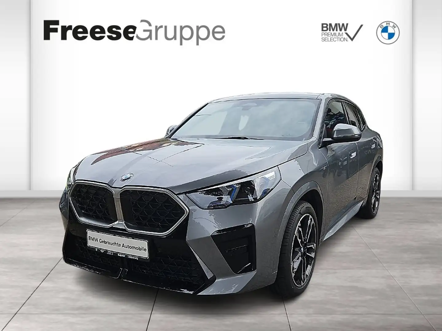 BMW X2 sDrive20i M Sportpaket Head-Up HK HiFi DAB Grau - 1
