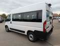 Fiat Ducato Hochr.-Kombi 33 140 L2H2 9 Sitzer Serie 8 Weiß - thumbnail 3